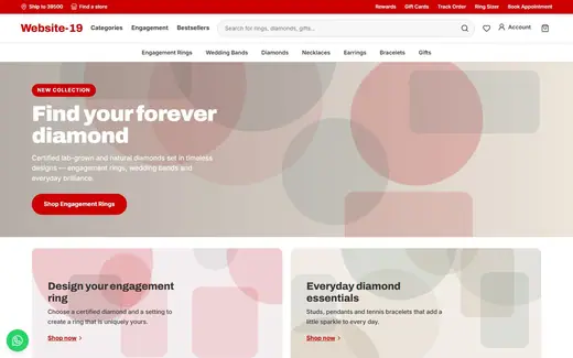 Website-19 storefront homepage