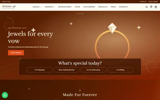 Website-58 storefront homepage
