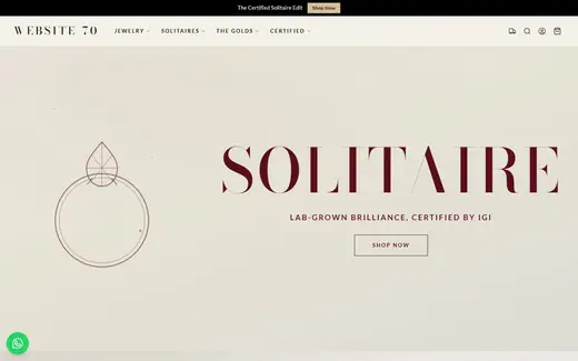 Website-70 storefront homepage