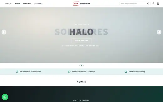 Website-74 storefront homepage