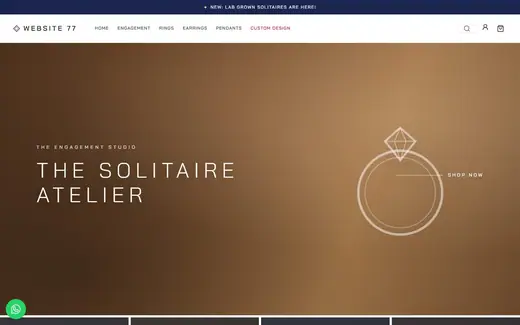 Website-77 storefront homepage